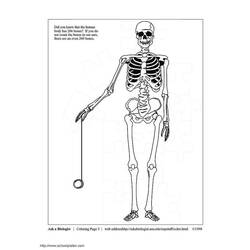 Dibujo para colorear: Esqueleto (Personajes) #147456 - Dibujos para Colorear e Imprimir Gratis
