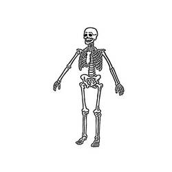 Dibujo para colorear: Esqueleto (Personajes) #147554 - Dibujos para Colorear e Imprimir Gratis