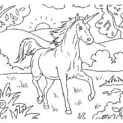 Dibujo para colorear: Unicornio (Personajes) #19604 - Dibujos para Colorear e Imprimir Gratis