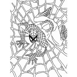Dibujo para colorear: Spiderman (Superhéroes) #78644 - Dibujos para Colorear e Imprimir Gratis