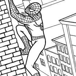 Dibujo para colorear: Spiderman (Superhéroes) #78647 - Dibujos para Colorear e Imprimir Gratis