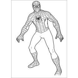 Dibujo para colorear: Spiderman (Superhéroes) #78651 - Dibujos para Colorear e Imprimir Gratis