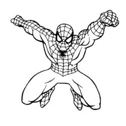 Dibujos para colorear: Spiderman - Dibujos para Colorear e Imprimir Gratis