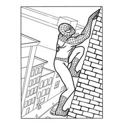 Dibujo para colorear: Spiderman (Superhéroes) #78658 - Dibujos para Colorear e Imprimir Gratis