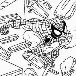 Dibujo para colorear: Spiderman (Superhéroes) #78717 - Dibujos para Colorear e Imprimir Gratis