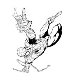 Dibujo para colorear: Spiderman (Superhéroes) #78739 - Dibujos para Colorear e Imprimir Gratis