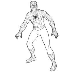 Dibujo para colorear: Spiderman (Superhéroes) #78772 - Dibujos para Colorear e Imprimir Gratis