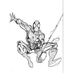 Dibujo para colorear: Spiderman (Superhéroes) #78820 - Dibujos para Colorear e Imprimir Gratis
