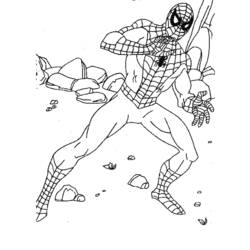 Dibujo para colorear: Spiderman (Superhéroes) #78937 - Dibujos para Colorear e Imprimir Gratis