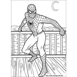 Dibujo para colorear: Spiderman (Superhéroes) #78974 - Dibujos para Colorear e Imprimir Gratis