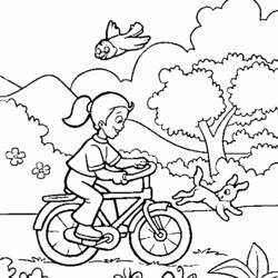 Dibujo para colorear: Bike / Bicycle (Transporte) #137010 - Dibujos para Colorear e Imprimir Gratis